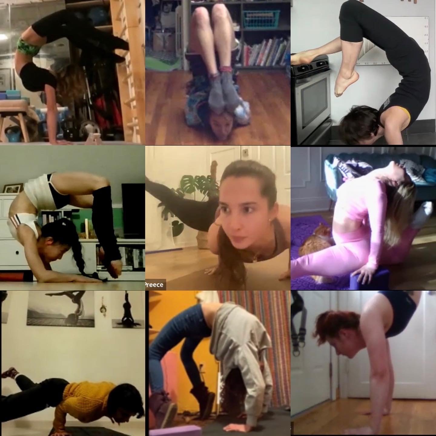 CONTORTURE® Elite Online Contortion Class