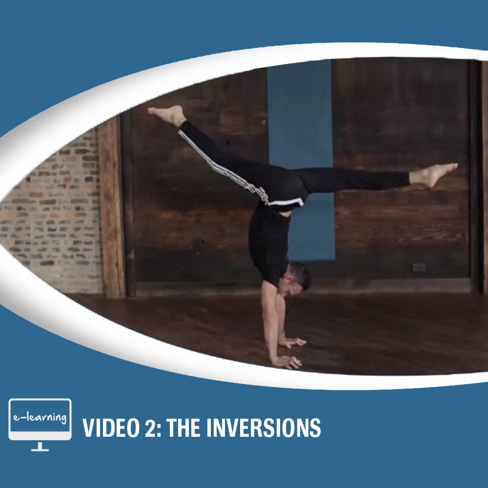 VIDEO 2: THE INVERSIONS [49 min] - Contorture